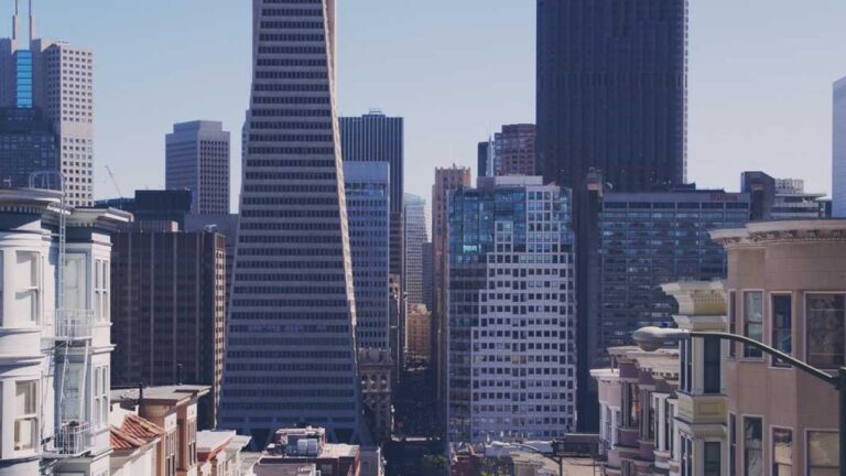 Best Cricket Shoes 2025