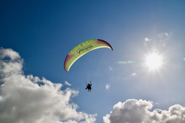 Reddybook: Transforming Digital Publishing with Innovative Features and Seamless 11xplay Integration