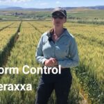 Reddy Book 247 Review – A Comprehensive Look at the Safe & Secure Online Betting Platform